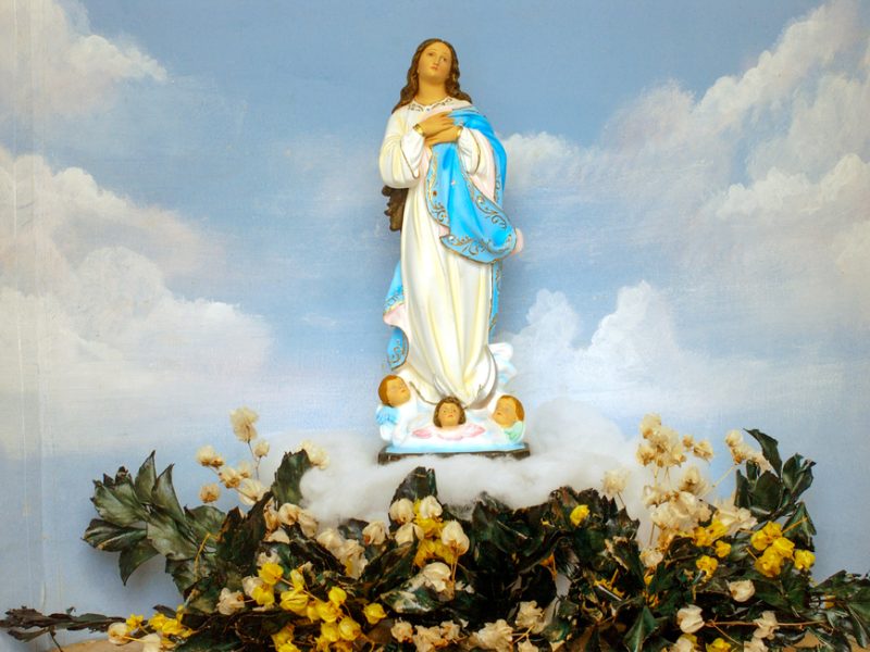 “Ó Maria concebida sem pecado”: a devoção a Nossa Senhora da Imaculada Conceição