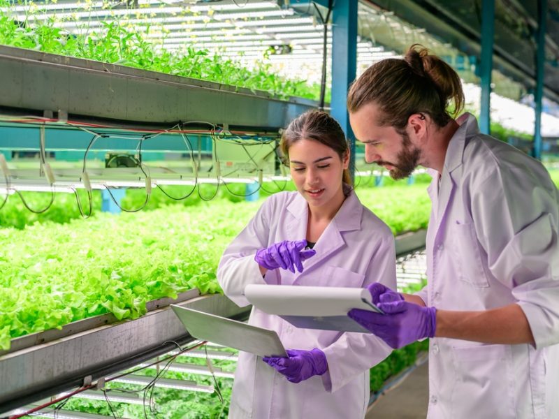 Fazendas verticais: como cultivar alimentos dentro de um prédio