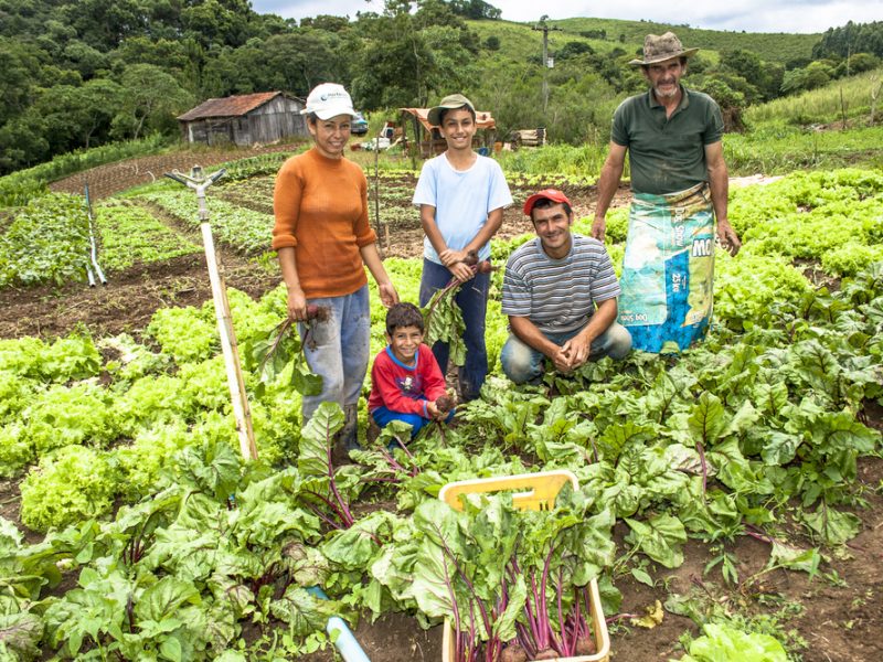 No Dia do Agricultor, que Santo Isidoro proteja esses trabalhadores