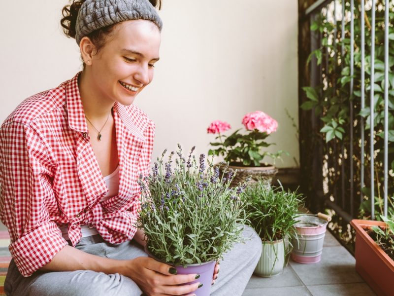 Plantoterapia: os benefícios de cultivar flores em casa