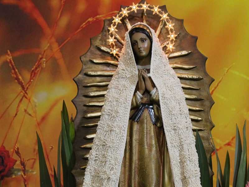 Cinco lições de Nossa Senhora de Guadalupe