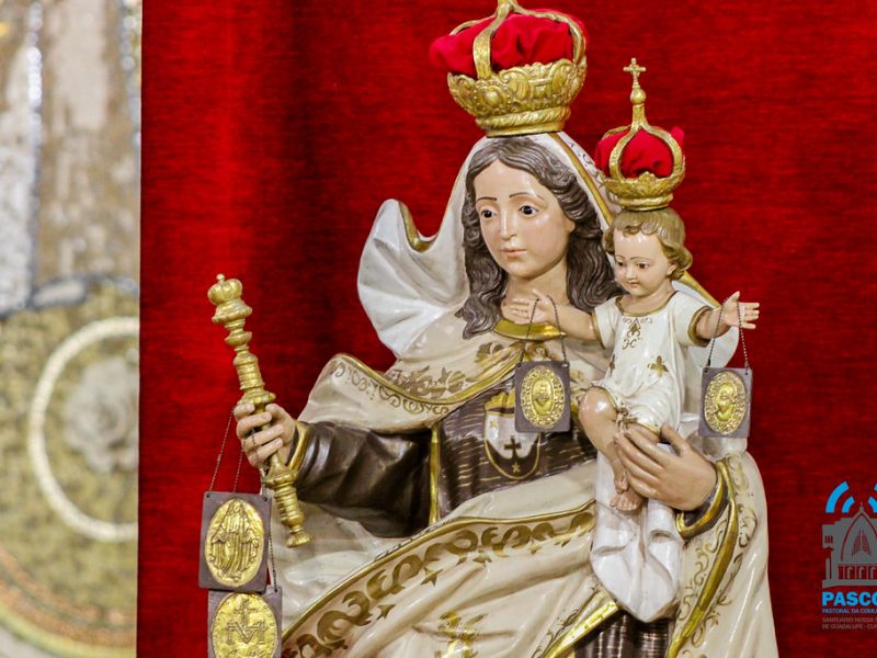 Nossa Senhora do Carmo, Flor do Carmelo: a Mãe que protege com amor