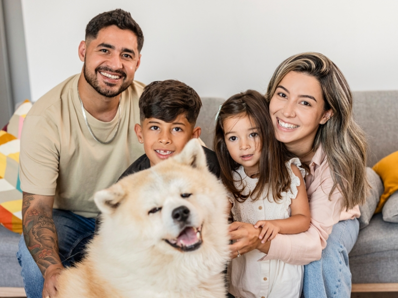 O que fazer para ter um animal de estimação de forma responsável