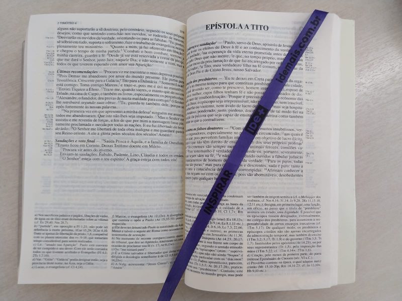 São Tito e São Timóteo: discípulos de Paulo e pilares da Igreja nascente