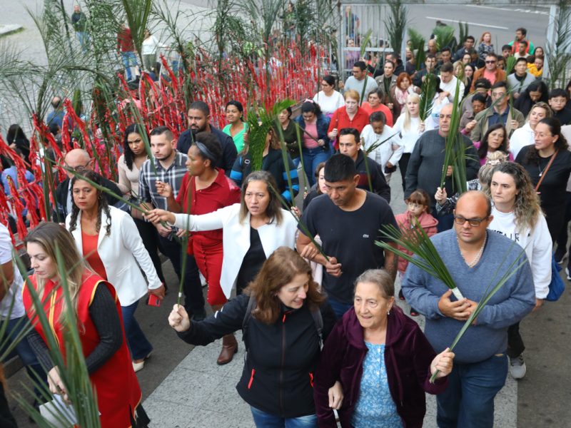 Domingo de Ramos: por que a Igreja abençoa os ramos e como os fiéis vivem essa tradição