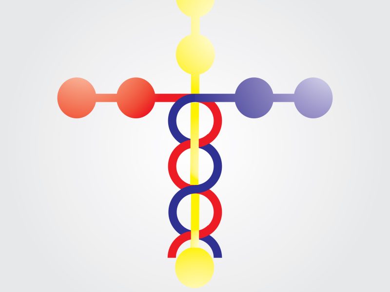 Laminina e polilaminina: entenda a proteína que tem o curioso formato de cruz