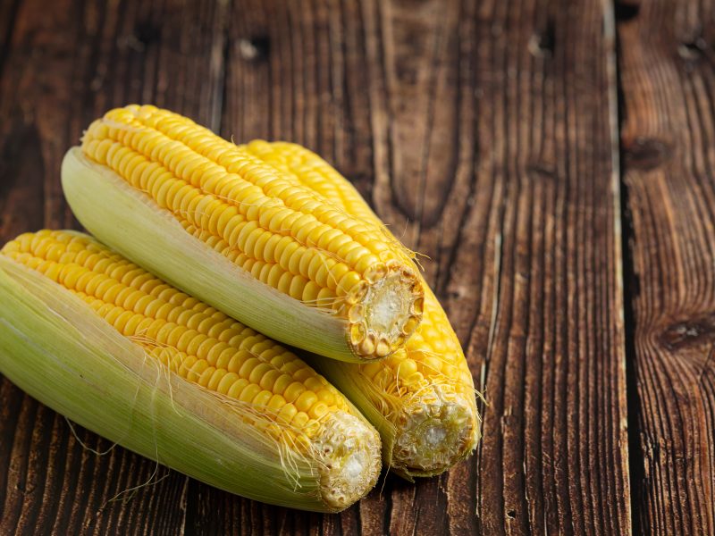 No período junino, confira como celebrar com fé e preparar alimentos à base de milho