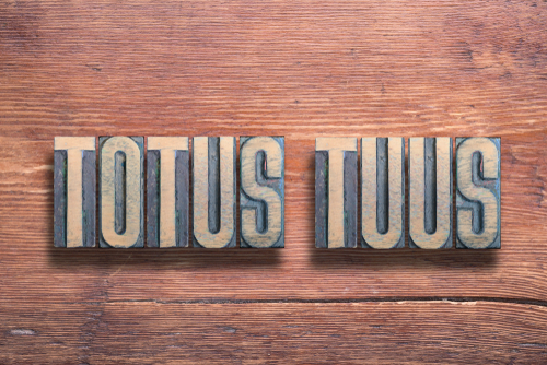 “Totus Tuus”: o que significa a expressão que está em perfis de católicos no TikTok?