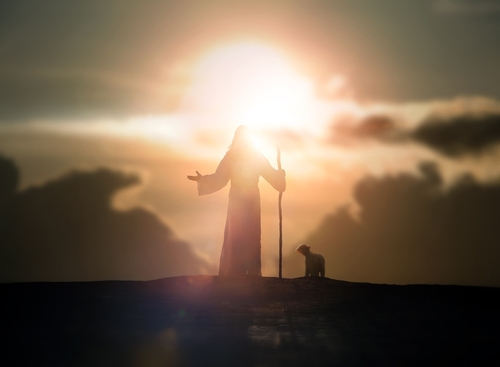 Eis o Cordeiro de Deus: o que a Bíblia e a Igreja ensinam sobre esse símbolo central da fé cristã