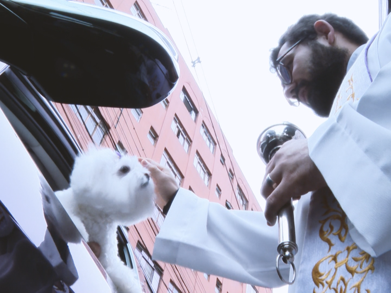 Evangelizar promove Bênção dos Animais em homenagem a São Francisco de Assis